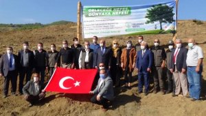 Kumluca'da 600 fidan toprakla buluştu
