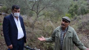 Kuyuya düşüp ölen eşeği için 'Arabayı her yerde bulurum ama eşeği bulamam' diye üzüldü