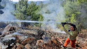 Manavgat'ta yanan orman alanında kaçak kesim yapıldığı belirlendi