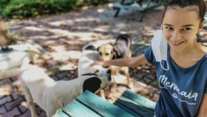 Öğrencilerin boşalttığı kampüs, kedi ve köpeklere kaldı