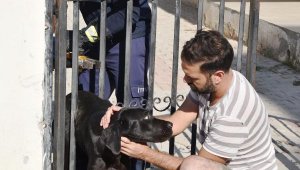 Parmaklığa sıkışan köpek kurtarılınca minik Yağız sevinçten zıpladı