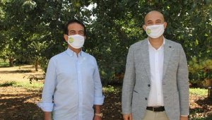 Zeytin Mektebi 20 bin kişiye ulaştı