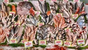 'Çiftlik balığında plastik birikimi daha az'