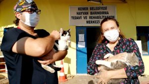 'Onların bizim merhametimize ihtiyaçları var'