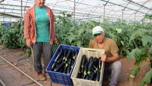 Antalya'da çiftçiler üretimi aralıksız sürdürüyor