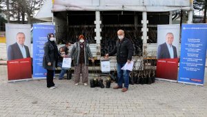 Büyükşehir 4 ilçede çiftçiye 6500 ceviz fidanı dağıttı