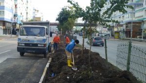 Büyükşehir'in kısıtlama mesaisi