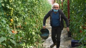 Demre ve Kaş'ta selden 112 üreticinin 282 dönüm serası zarar gördü