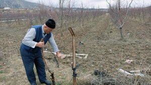 Elmalı'da yağış çiftçilerin yüzünü güldürdü