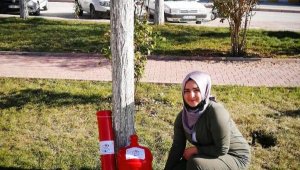 Eski damacanalar kedi yuvasına dönüştü