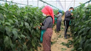 Kısıtlamada üretim hız kesmeden devam etti