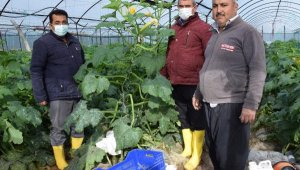 Kökce'den zarar gören üreticilere ziyaret
