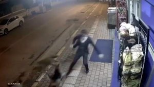 Köpeklerin saldırısından tekme atarak kurtulmaya çalıştı