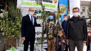 Manavgat'ta 2021 fidan dağıtıldı