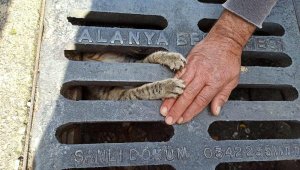 Mazgala sıkışan yavru kediyi itfaiye kurtardı