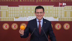 Milletvekili Uslu, TBMM'de Antalya'nın portakalını tanıttı