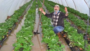 Serik'te sağanak; tarım alanları su altında kaldı