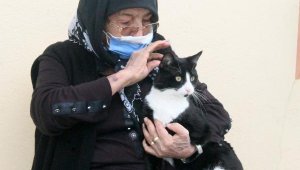 'Canım kadar sevdim' dediği kedisini magandalar tüfekle vurdu