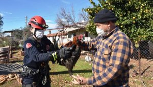 45 metrelik kuyuya düşen horozu, itfaiye kurtardı