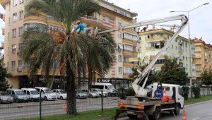Alanya Belediyesi kısıtlamayı fırsata çevirdi