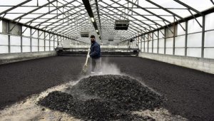 Antalya OSB, 2 bin 645 ton atık çamuru enerjiye dönüştürdü
