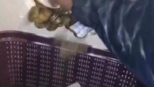 Antalya'da, oturduğu dairenin duvarını kumbara yaptı