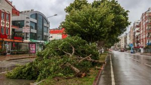 Antalya'da yağmur ve fırtına hayatı olumsuz etkiledi