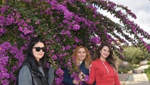 Begonviller fotoğraf stüdyosu gibi