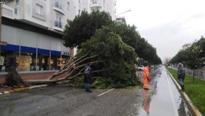 Büyükşehir yağmur ve fırtınada 40'a yakın olaya müdahale etti