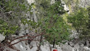Dağlık alanda mahsur kalan Rus turistleri jandarma kurtardı