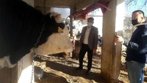 Demre'deki besicilerin ihtiyaçları belirlendi