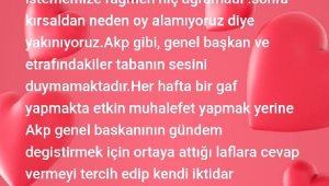 İnce'nin kuracağı partinin ilk belediye başkanı Antalya'dan
