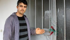 İşkenceci eşini öldüren kadının kan donduran ifadesi