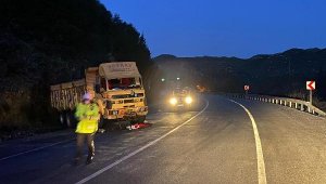 Kamyon kayalıklara çarptı, sürücü yaralandı