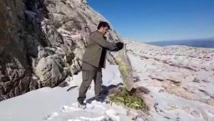 Karlı dağın zirvesine yaban hayvanları için yem bıraktılar