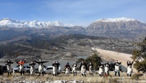 Kaşlı kadınların kozalaklardan çıkardığı tohumlar sedir ağacına dönüşüyor
