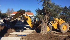 Kemer 'yeşile boyanıyor'