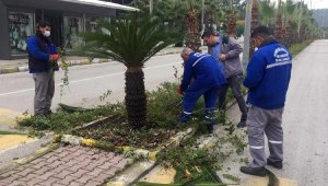 Kemer'de refüjlere bakım