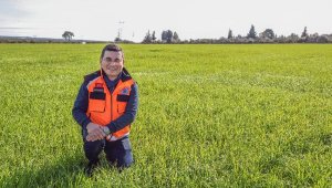 Kepez'in buğdayından 1 milyon ekmek