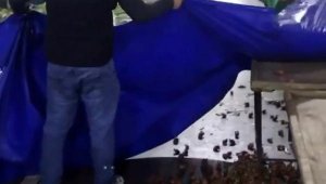 Kilolarca çileği 'satılmadı' diye döken esnafa tepki yağdı
