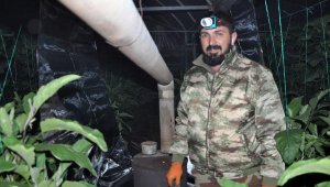 Kumluca'da sera üreticileri don nöbetine başladı