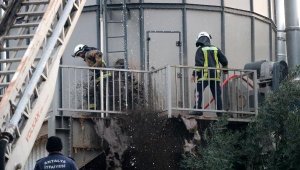Orman ürünleri fabrikasında çıkan yangın, büyümeden söndürüldü