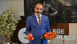 Rusya'nın 50 bin tonluk ek domates kotası sevindirdi