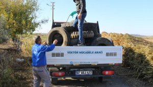 Serik'te sinek yuvası lastikler toplanıyor
