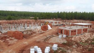 Sokak Hayvanları Bakım Evi'nde çalışmalar tam gaz