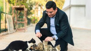 Tütüncü'den hayvan hastanesi müjdesi