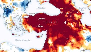 WWF'den kuraklık uyarısı: 10 şehir küresel yüksek risk listesinde