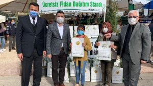 Yeni yılda bir fidan