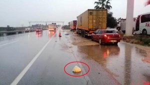 Yolun karşısına geçmek isterken otomobil çarptı, öldü