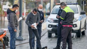 Yüzünden yaralı kediye kurtarma seferberliği